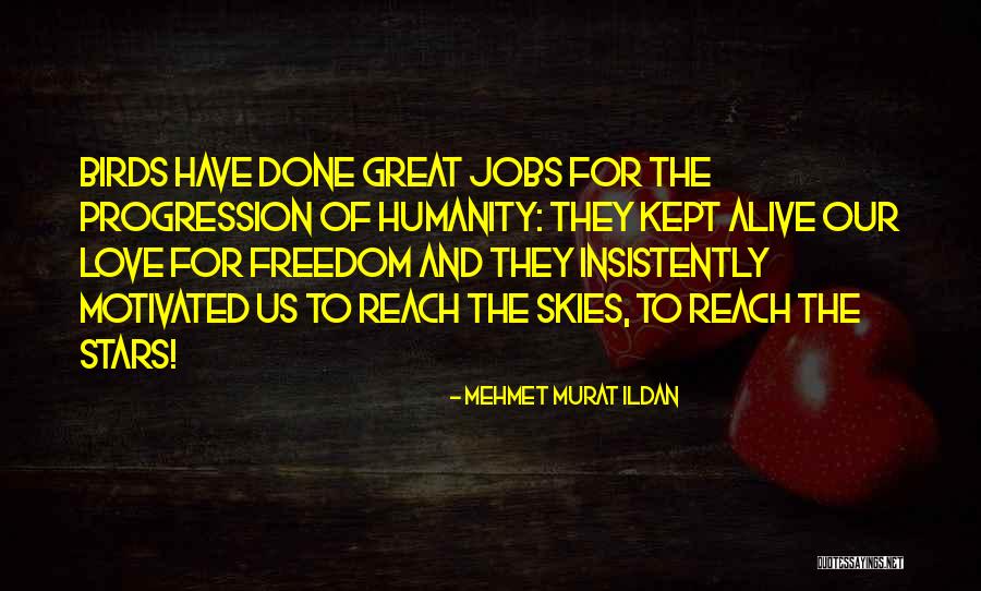 Reach For The Stars Quotes By Mehmet Murat Ildan Reach For The Stars Quotes By Mehmet Murat Ildan