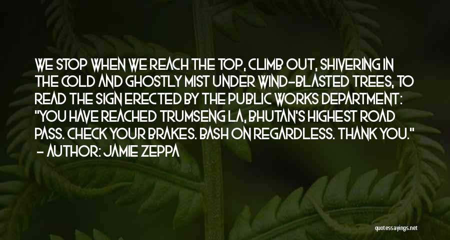 Reach On Top Quotes By Jamie Zeppa