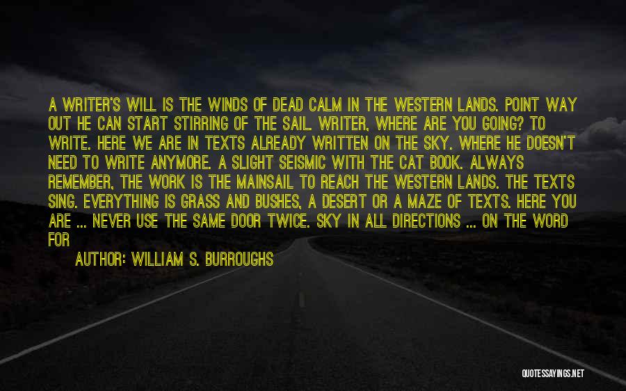 Reach Out To The Sky Quotes By William S. Burroughs