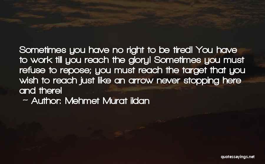 Reach Target Quotes By Mehmet Murat Ildan