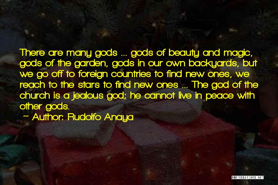 Reach The Stars Quotes By Rudolfo Anaya