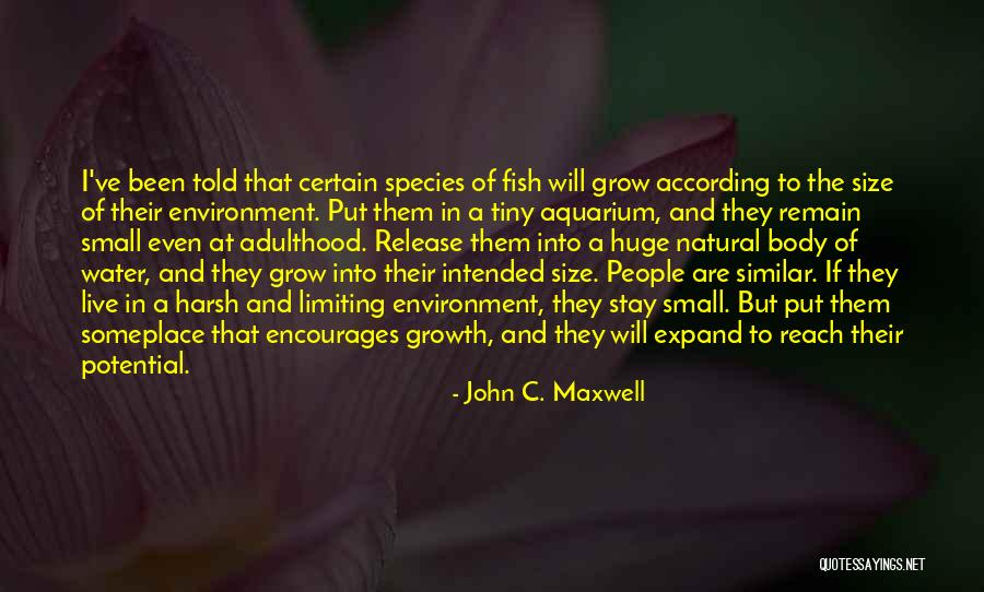 Reach Their Potential Quotes By John C. Maxwell Reach Their Potential Quotes By John C. Maxwell