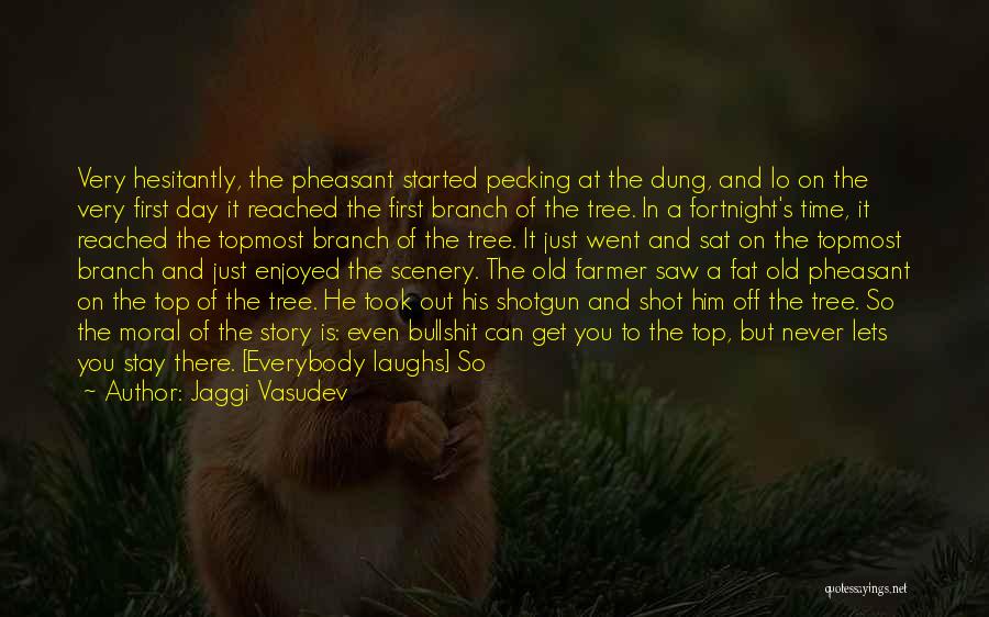 Reached The Top Quotes By Jaggi Vasudev