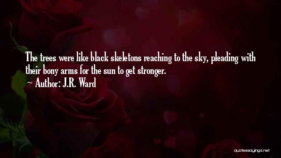 Reaching For The Sky Quotes By J.R. Ward