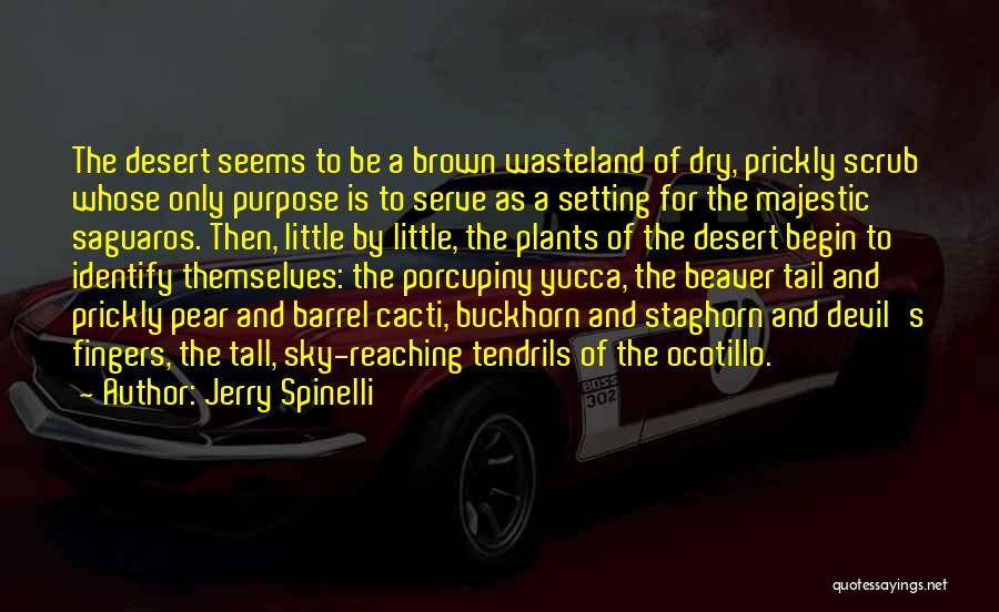 Reaching For The Sky Quotes By Jerry Spinelli