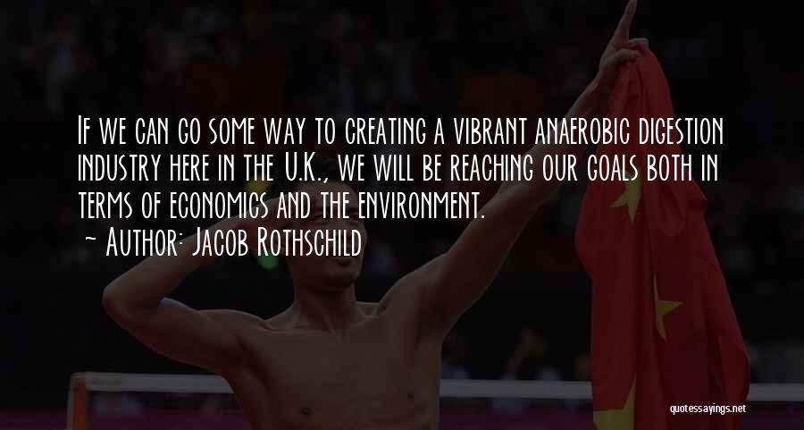 Reaching Goals Quotes By Jacob Rothschild