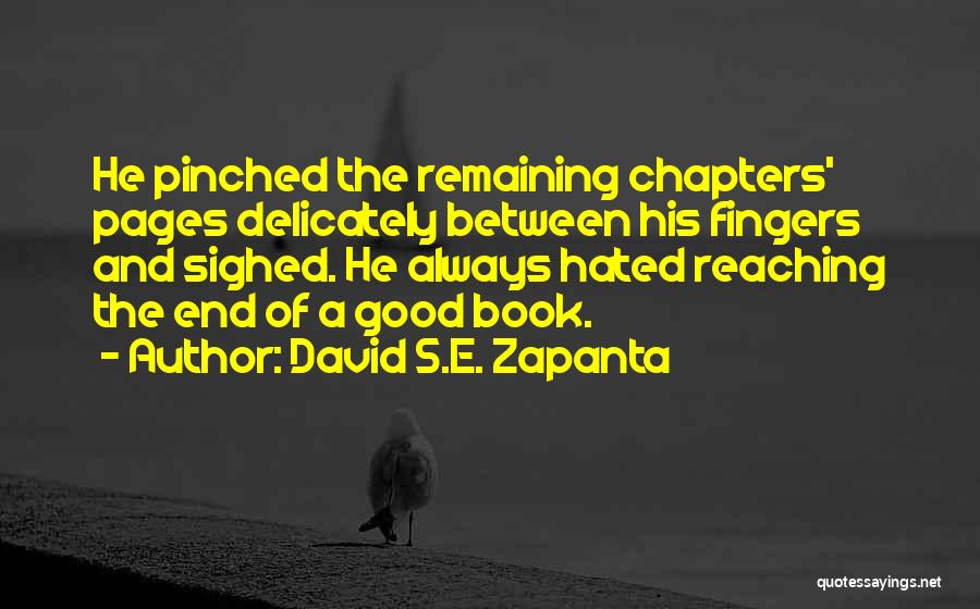 Reaching The End Quotes By David S.E. Zapanta