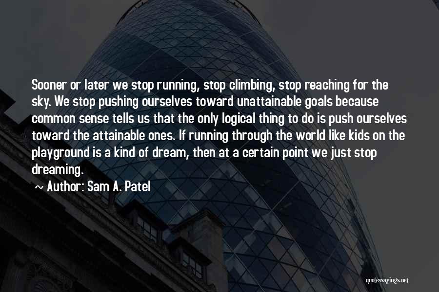 Reaching The Sky Quotes By Sam A. Patel