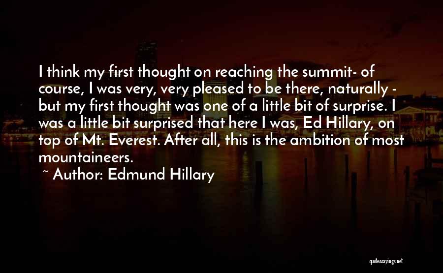 Reaching The Top Quotes By Edmund Hillary