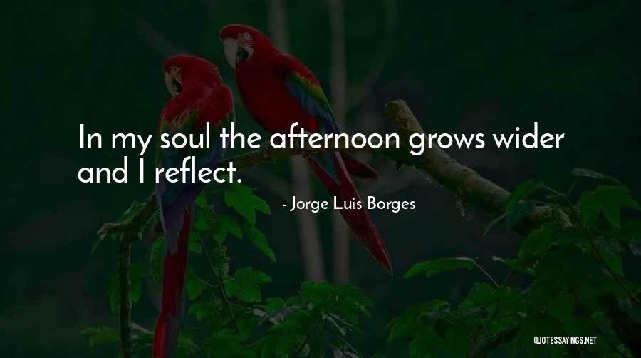 Reactia De Combinare Quotes By Jorge Luis Borges Reactia De Combinare Quotes By Jorge Luis Borges