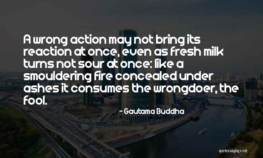 Reaction Action Quotes By Gautama Buddha Reaction Action Quotes By Gautama Buddha