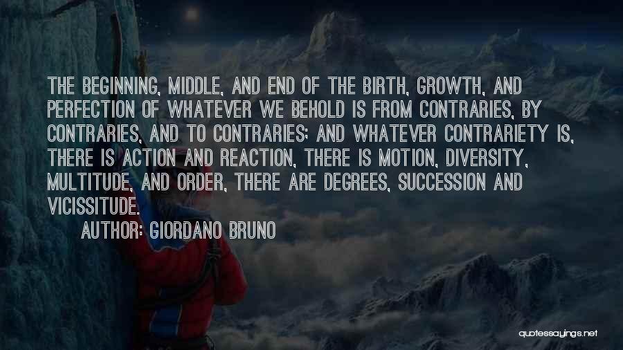 Reaction Action Quotes By Giordano Bruno