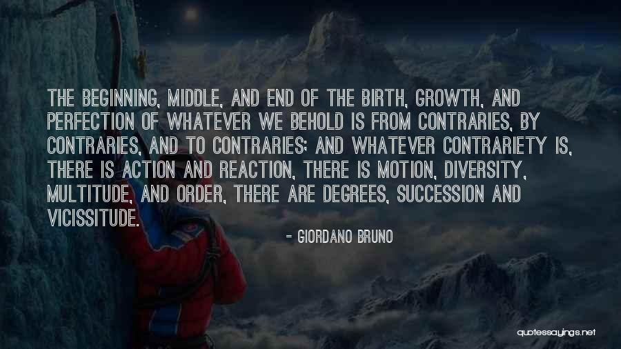 Reaction Action Quotes By Giordano Bruno