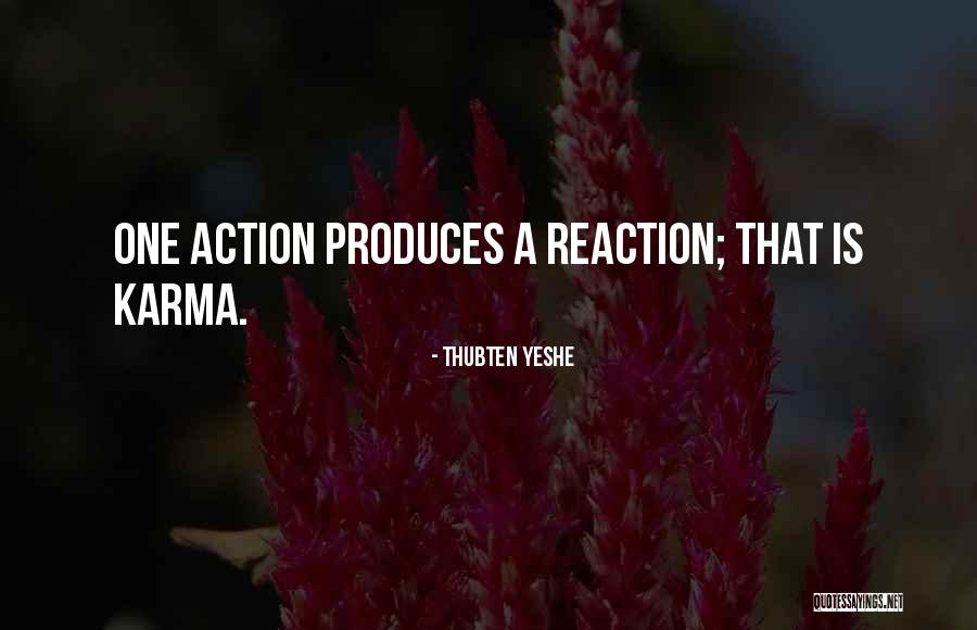 Reaction Action Quotes By Thubten Yeshe