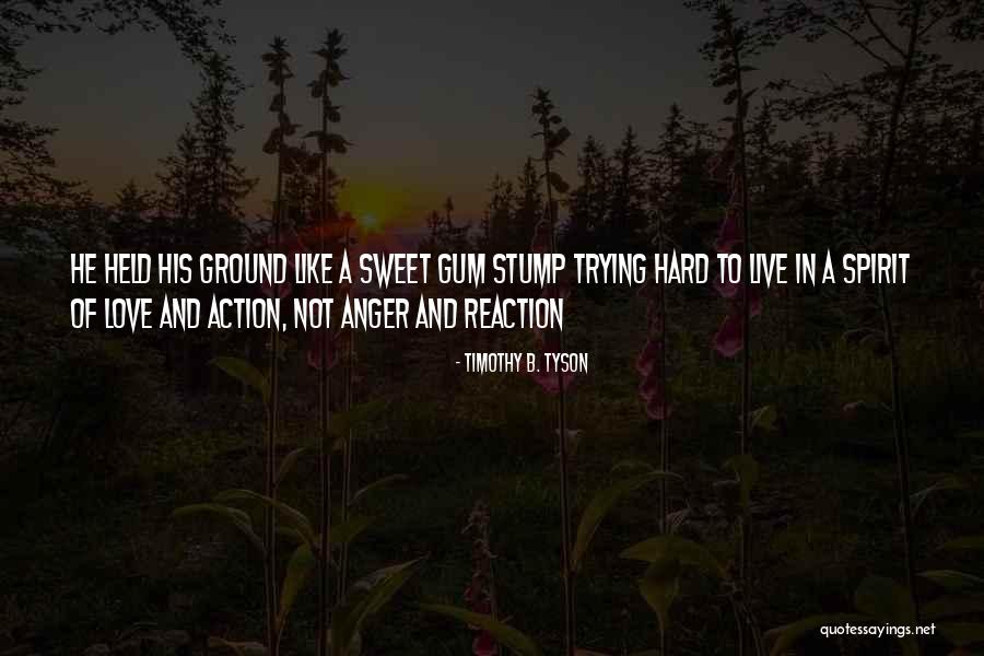 Reaction Action Quotes By Timothy B. Tyson