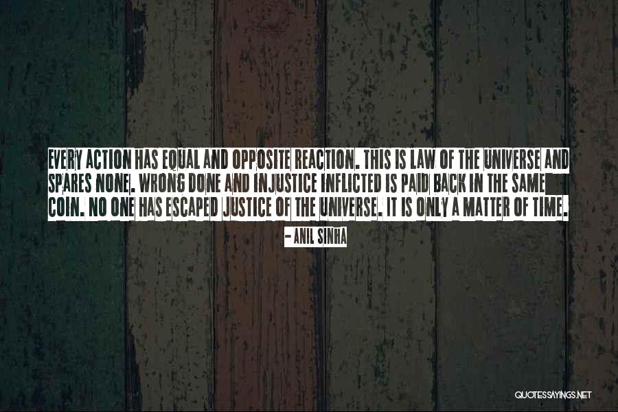 Reaction To Injustice Quotes By Anil Sinha Reaction To Injustice Quotes By Anil Sinha