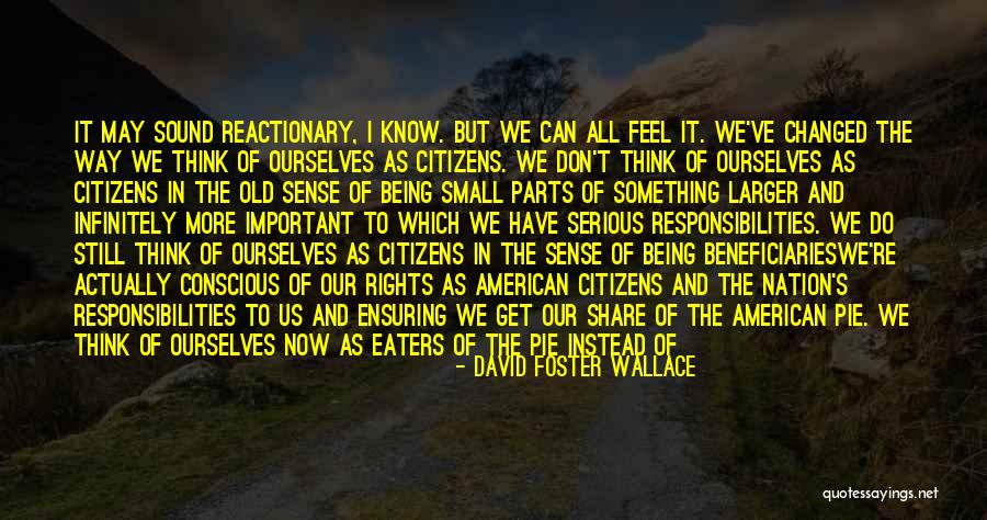 Reactionary Quotes By David Foster Wallace