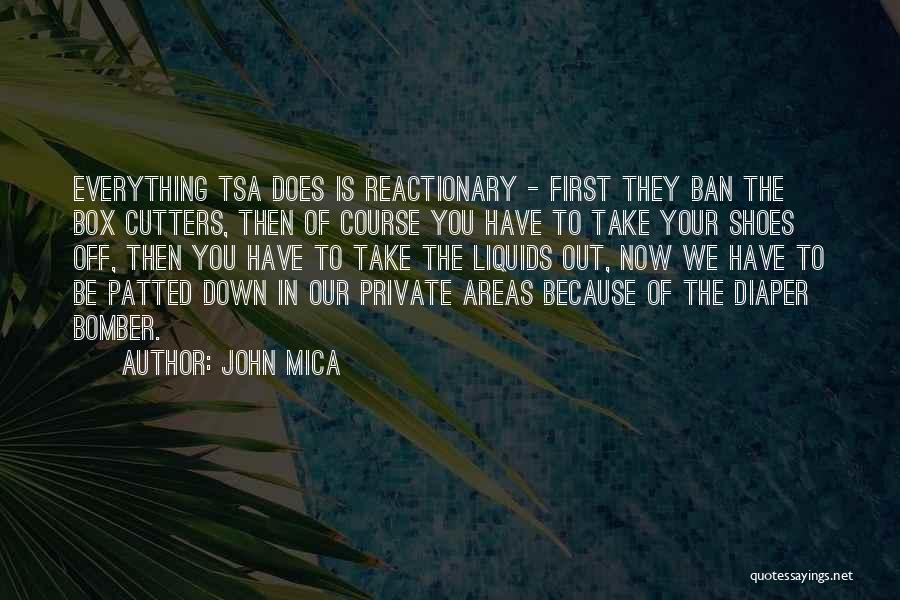 Reactionary Quotes By John Mica