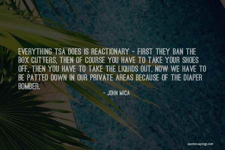 Reactionary Quotes By John Mica