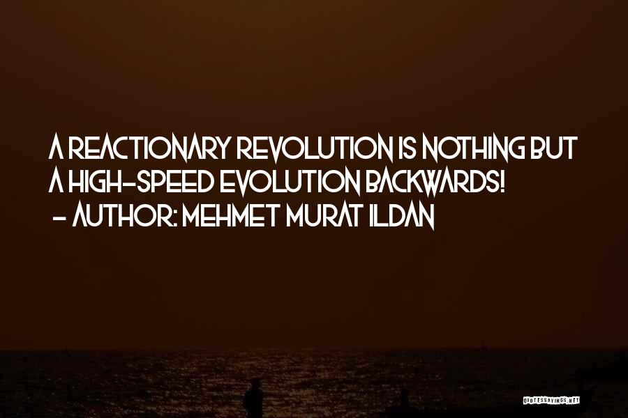 Reactionary Quotes By Mehmet Murat Ildan