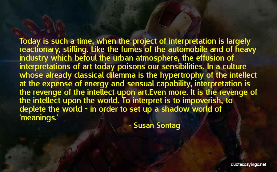 Reactionary Quotes By Susan Sontag