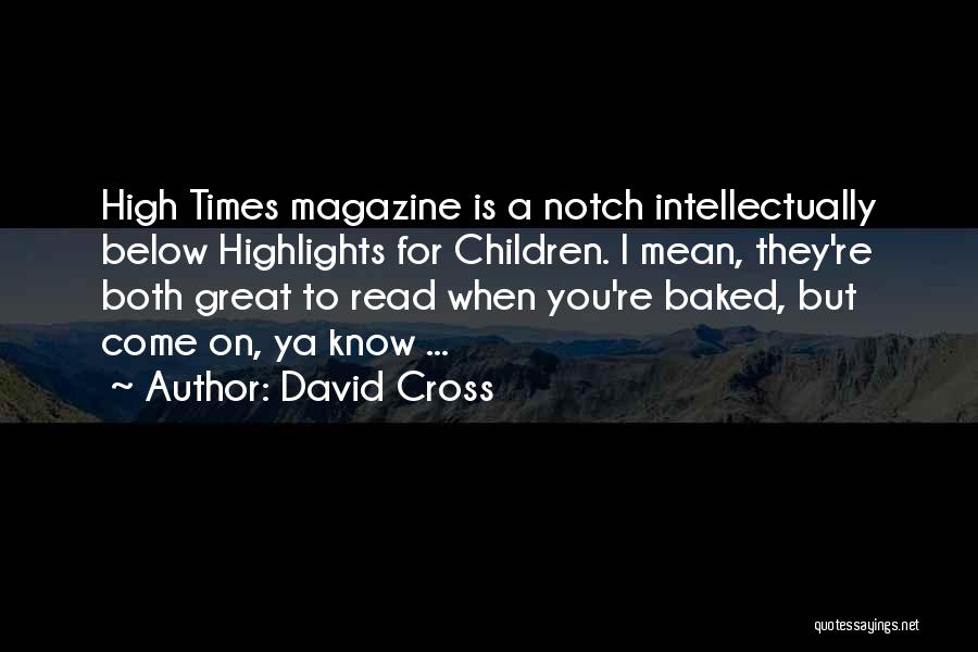 Read Below Quotes By David Cross