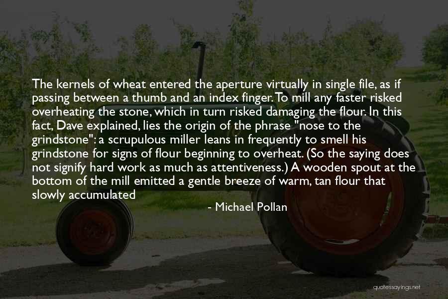 Read Faster Quotes By Michael Pollan Read Faster Quotes By Michael Pollan