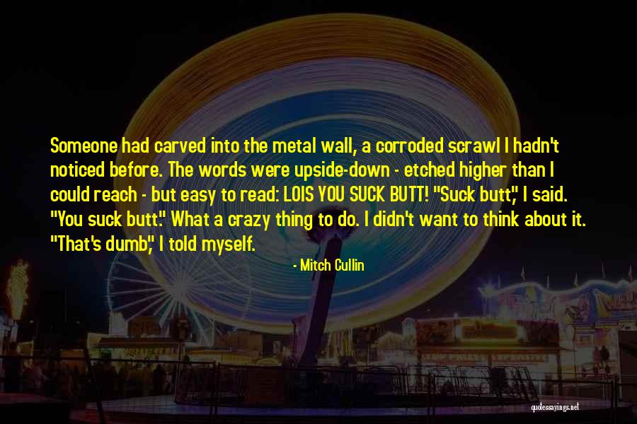 Read It Quotes By Mitch Cullin