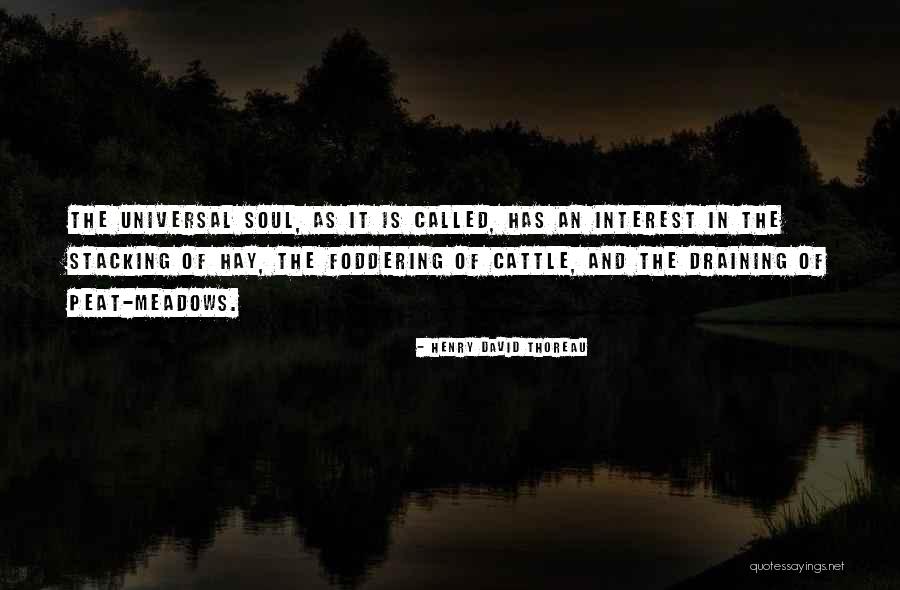 Readership Of New York Quotes By Henry David Thoreau