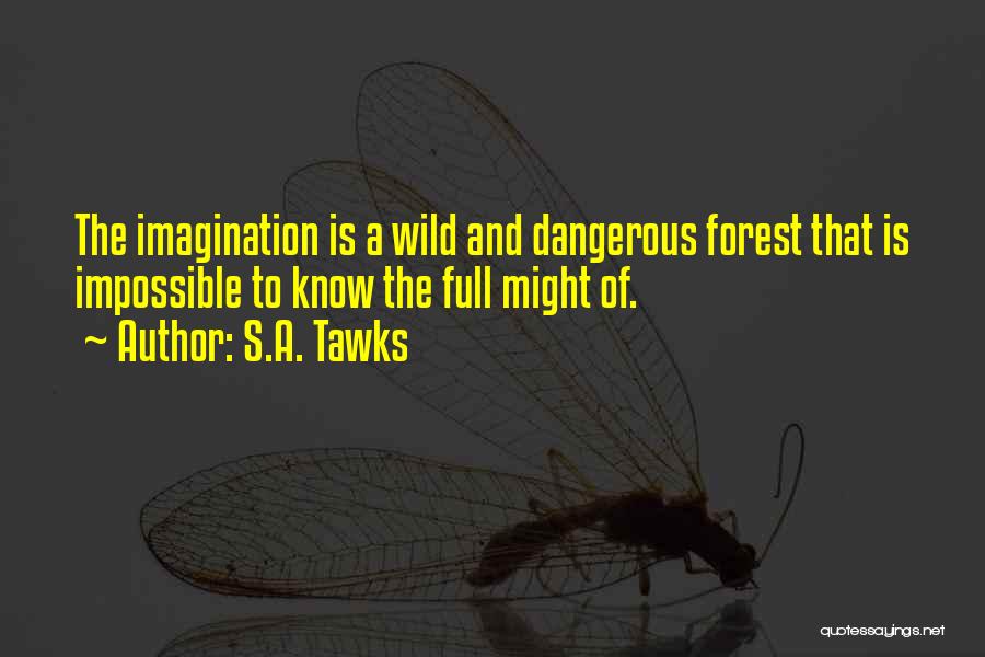 Reading And Imagination Quotes By S.A. Tawks