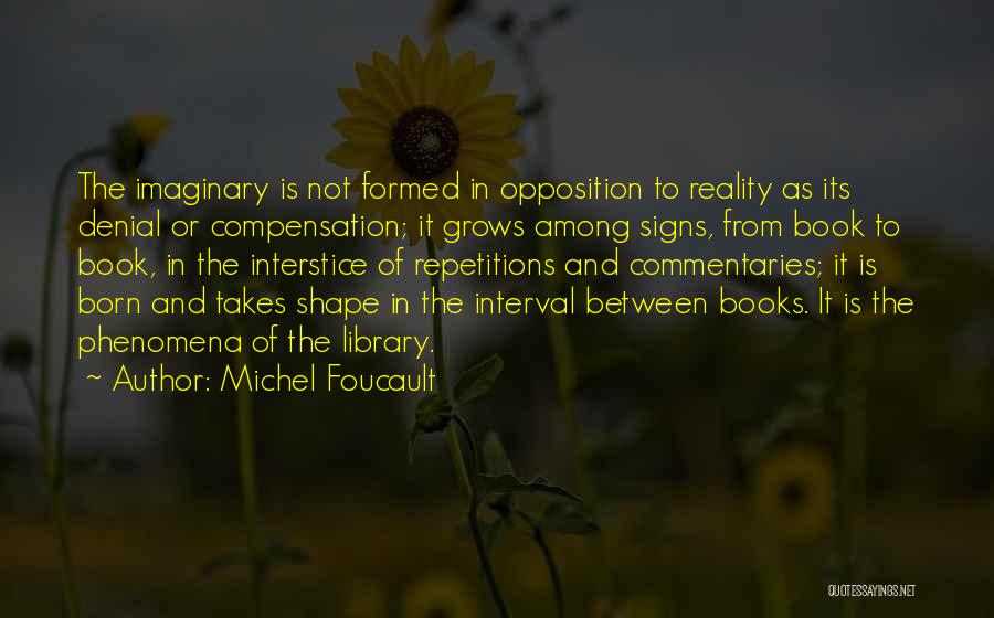 Reading And Library Quotes By Michel Foucault
