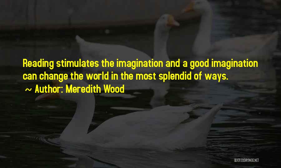 Reading Books And Imagination Quotes By Meredith Wood