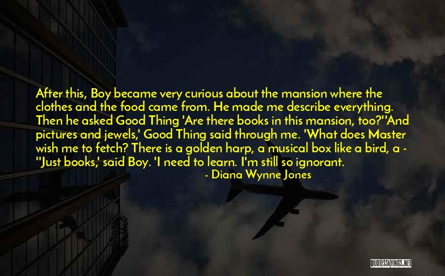 Reading Pictures And Quotes By Diana Wynne Jones