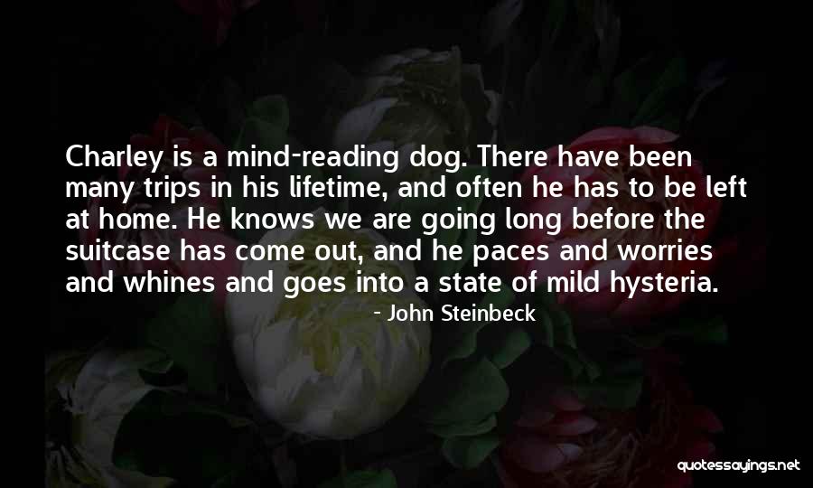 Reading Travel Quotes By John Steinbeck Reading Travel Quotes By John Steinbeck