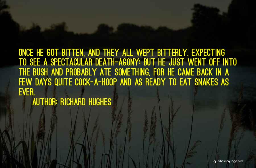 Ready For Death Quotes By Richard Hughes