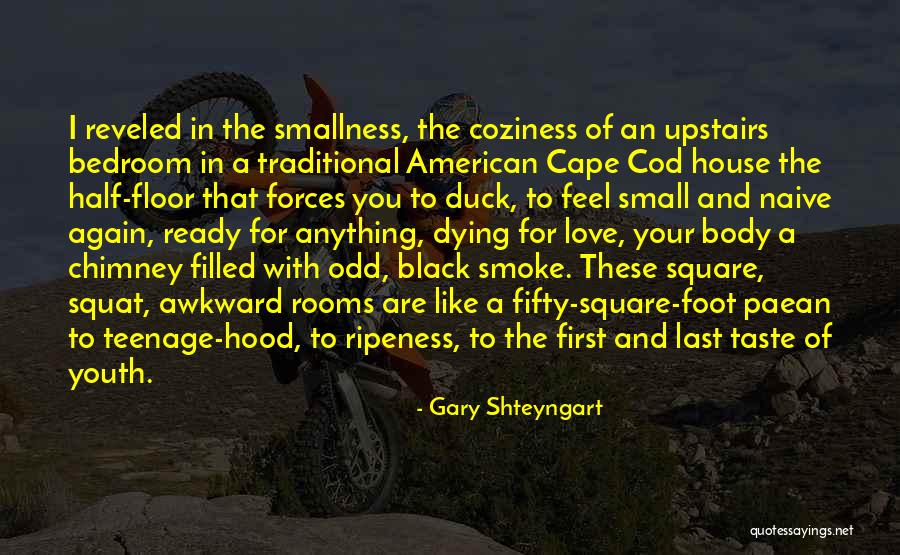 Ready For Love Again Quotes By Gary Shteyngart Ready For Love Again Quotes By Gary Shteyngart