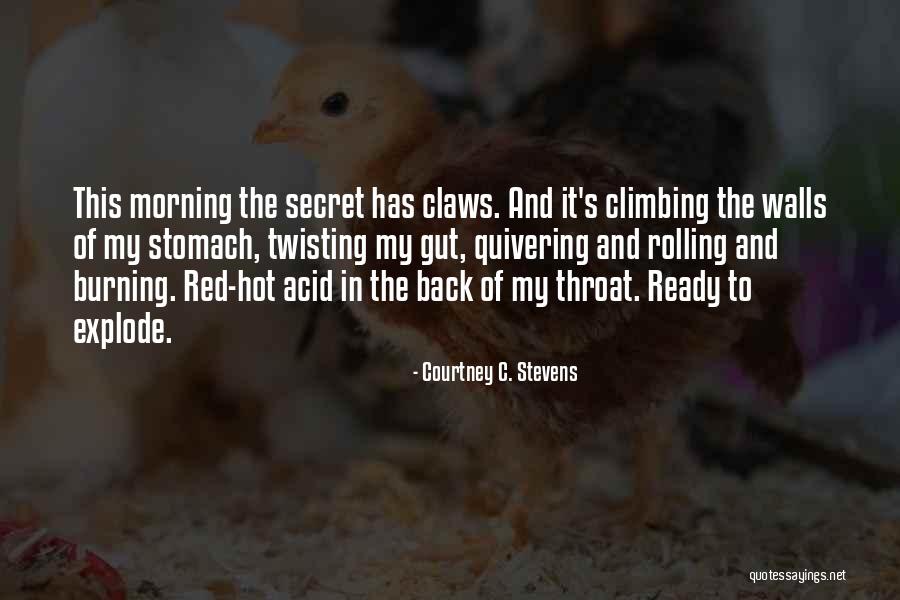 Ready To Explode Quotes By Courtney C. Stevens Ready To Explode Quotes By Courtney C. Stevens