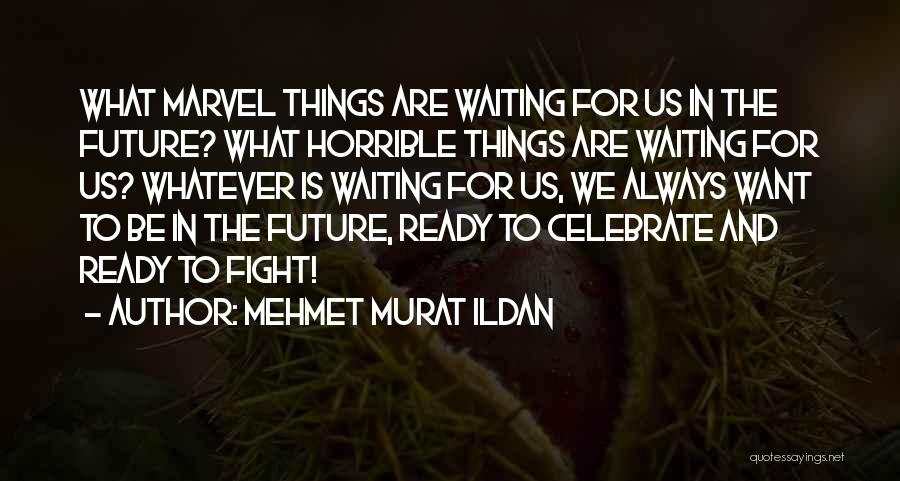 Ready To Fight Quotes By Mehmet Murat Ildan