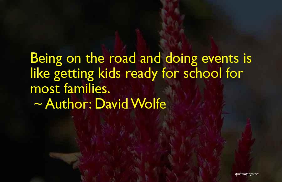 Ready To Go School Quotes By David Wolfe