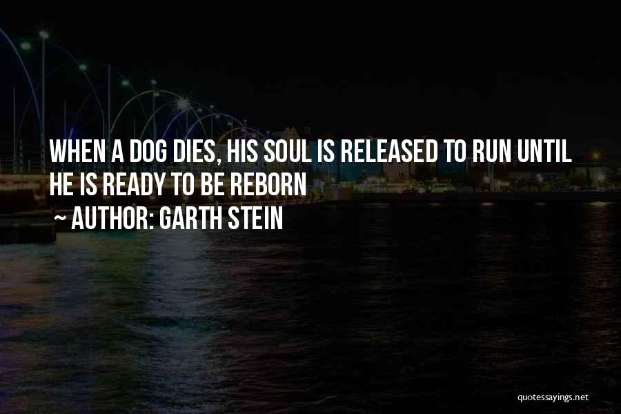 Ready To Run Quotes By Garth Stein