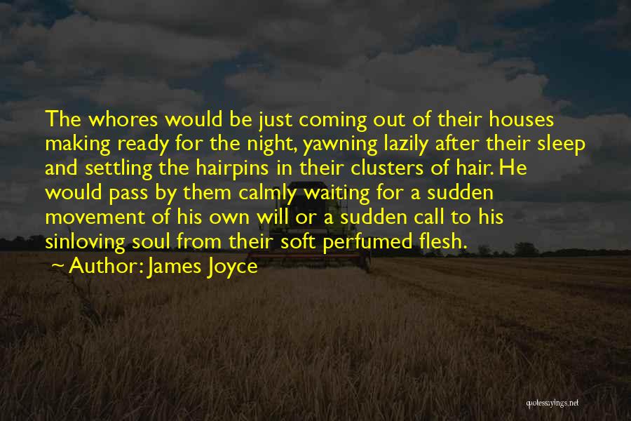 Ready To Sleep Quotes By James Joyce