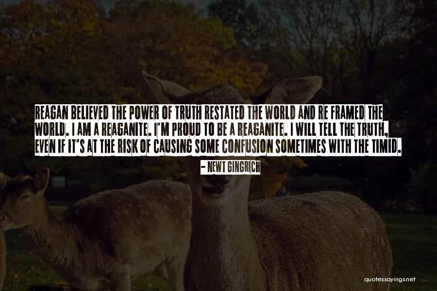 Reaganite Quotes By Newt Gingrich Reaganite Quotes By Newt Gingrich