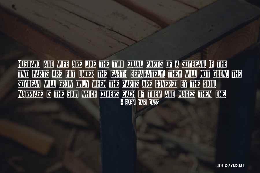 Reagir French Quotes By Baba Hari Dass Reagir French Quotes By Baba Hari Dass