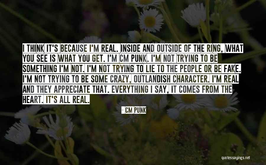 Real And Fake People Quotes By CM Punk Real And Fake People Quotes By CM Punk