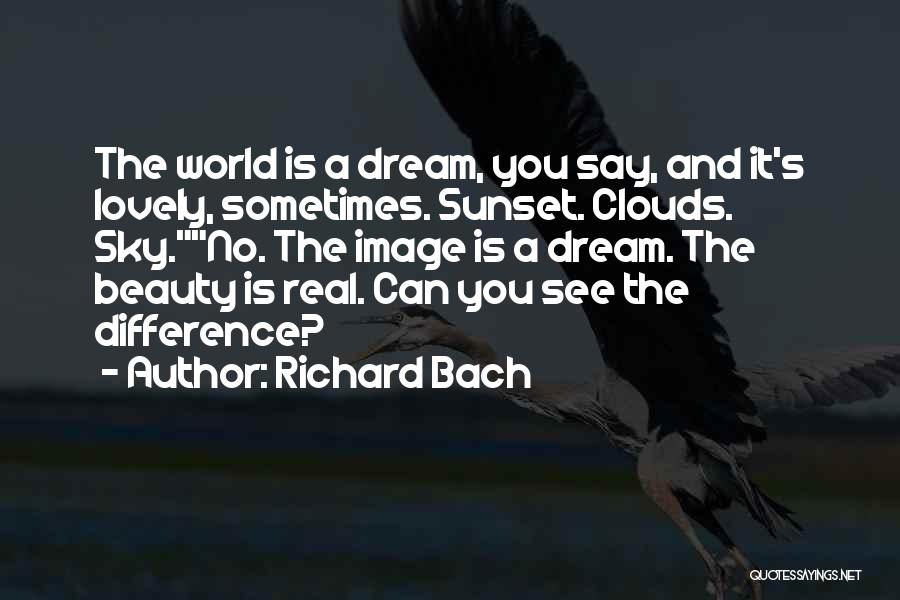 Real Beauty Quotes By Richard Bach