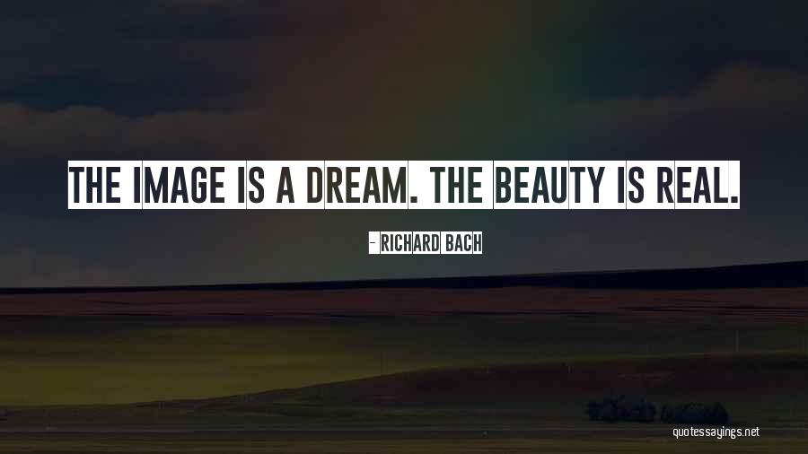 Real Beauty Quotes By Richard Bach