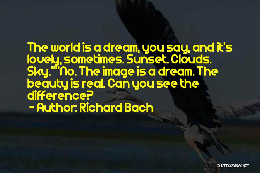 Real Beauty Within Quotes By Richard Bach