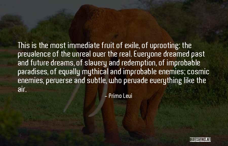 Real Enemies Quotes By Primo Levi Real Enemies Quotes By Primo Levi