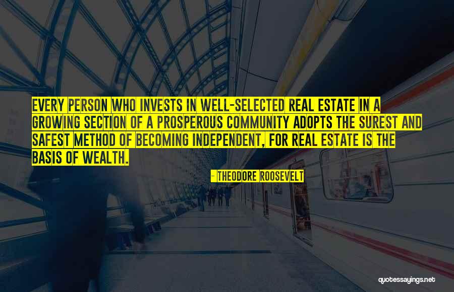 Real Estate And Wealth Quotes By Theodore Roosevelt Real Estate And Wealth Quotes By Theodore Roosevelt
