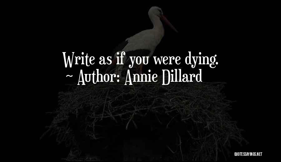 Real Eyes Recognize Real Lies Quotes By Annie Dillard